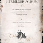 Гравюры. 1896 г. Собаки. Охота. Ч 1 — изображение 8