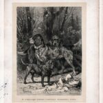 Гравюры. 1896 г. Собаки. Охота. Ч 1 — изображение 3