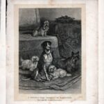 Гравюры. 1896 г. Собаки. Охота. Ч 1 — изображение 5
