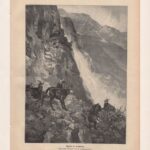 Литографии. Животные. Антилопа. 1897 г. Ч1 — изображение 2