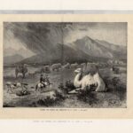 Гравюры. 1893 г. Народы. Нации. Страны. Ч2 — изображение 5