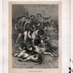 Гравюры. 1896 г. Собаки. Охота. Ч 1 — изображение 2
