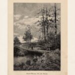 Гравюры. Пейзажи. Архитектура. 1900 г — изображение 5