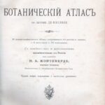 Гравюра. 1899г. Ботаника. Грибы. Водоросли. Ч5 — изображение 10